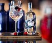 Gin Tonic Lounge Leipzig 